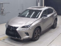 2021 Lexus NX