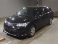 2021 Toyota Corolla Fielder