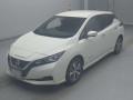 2020 Nissan Leaf