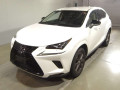 2019 Lexus NX