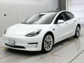 2021 Others MODEL 3