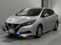 2021 Nissan Leaf