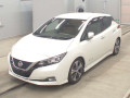 2019 Nissan Leaf