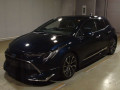 2021 Toyota Corolla Sports