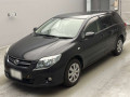 2010 Toyota Corolla Fielder