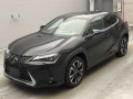 2021 Lexus UX