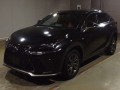 2019 Lexus NX