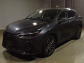 2023 Lexus NX