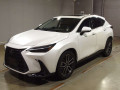 2024 Lexus NX