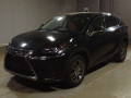 2019 Lexus NX