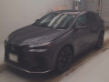 2024 Lexus NX