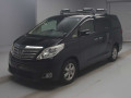 2013 Toyota Alphard