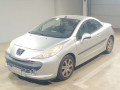 2007 Peugeot 207