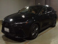 2022 Lexus NX