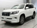 2019 Toyota Land Cruiser Prado