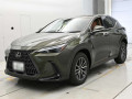 2025 Lexus NX
