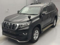 2019 Toyota Land Cruiser Prado