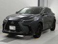 2021 Lexus NX
