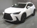2023 Lexus NX