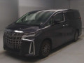 2021 Toyota Alphard