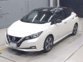 2019 Nissan Leaf
