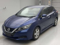 2019 Nissan Leaf