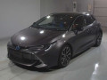 2021 Toyota Corolla Sports
