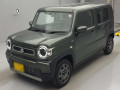 2025 Suzuki Hustler