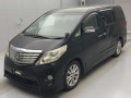 2008 Toyota Alphard