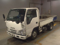 2020 Isuzu Elf Truck