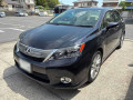 2010 Lexus HS