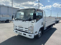 2015 Isuzu Elf Truck