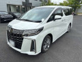 2021 Toyota Alphard
