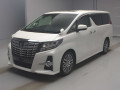 2017 Toyota Alphard