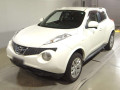2011 Nissan JUKE