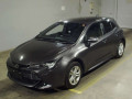 2022 Toyota Corolla Sports
