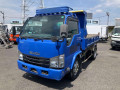 2015 Isuzu Elf Truck