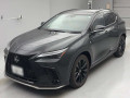 2024 Lexus NX
