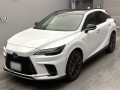 2025 Lexus RX