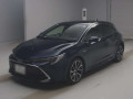 2019 Toyota Corolla Sports