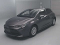 2021 Toyota Corolla Sports