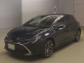 2019 Toyota Corolla Sports