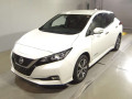 2019 Nissan Leaf
