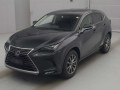 2019 Lexus NX