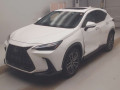 2023 Lexus NX