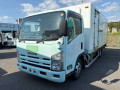 2009 Isuzu Elf Truck