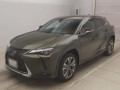 2021 Lexus UX