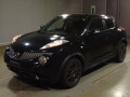 2011 Nissan JUKE