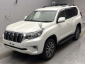 2019 Toyota Land Cruiser Prado