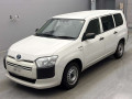 2019 Toyota Probox